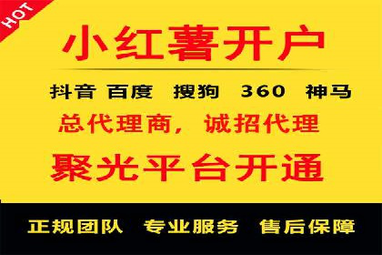 成功sem公司的策略与执行